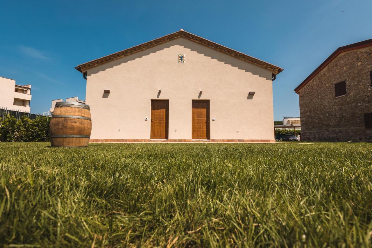 B&B Podere Curtatone 그레세토 외부 사진